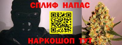 крисы Обь