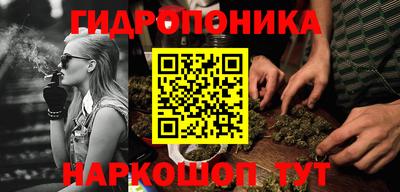 крисы Обь