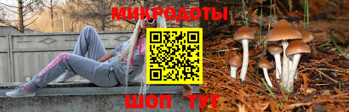 Галлюциногенные грибы Magic Shrooms Ялуторовск