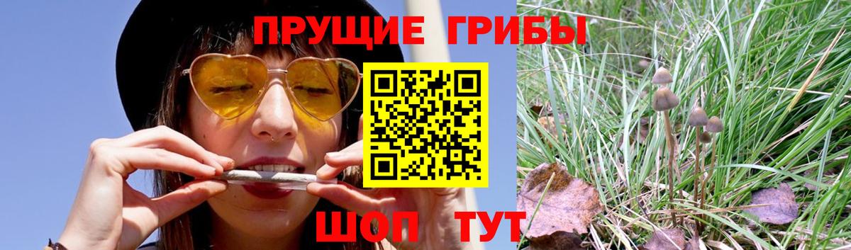 Ялуторовск  КОКАИН  Кодеин  ГАШИШ  Конопля  Вход с VPN  A PVP СК кристаллы  Меф  