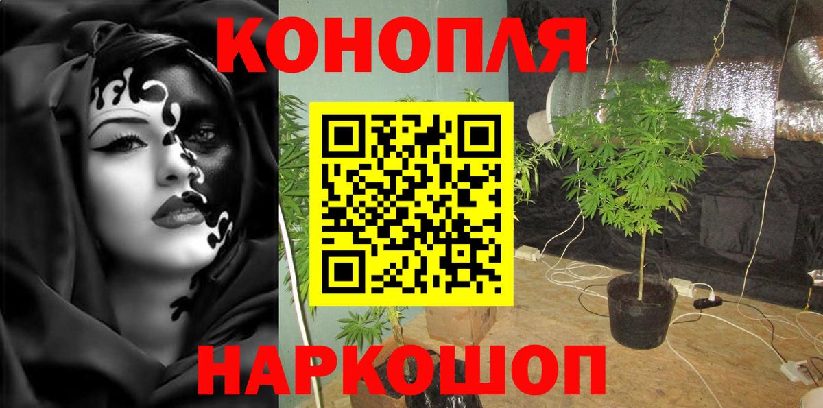 Бошки Шишки MAZAR  Каннабис Ganja  Вход с VPN  Ялуторовск  Бошки Шишки Amnesia  Бошки Шишки Amnesia 